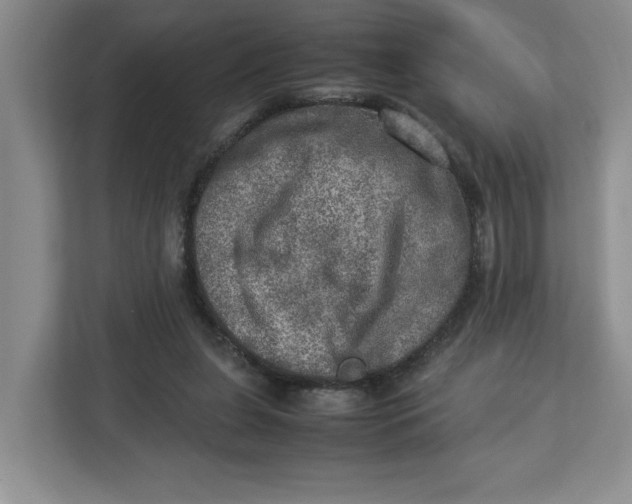 X0000112950255200909141413