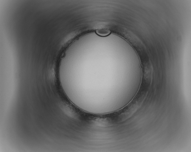 X0000112950256200909141413