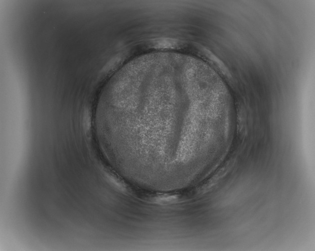 X0000112950257200909141413