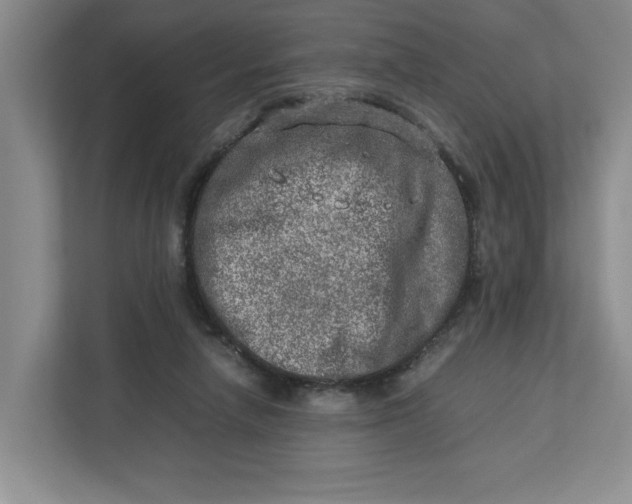 X0000112950258200909141413