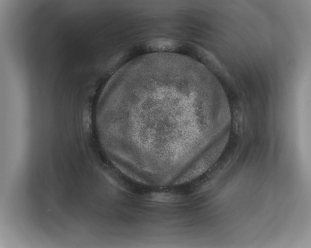 X0000112950259200909141413