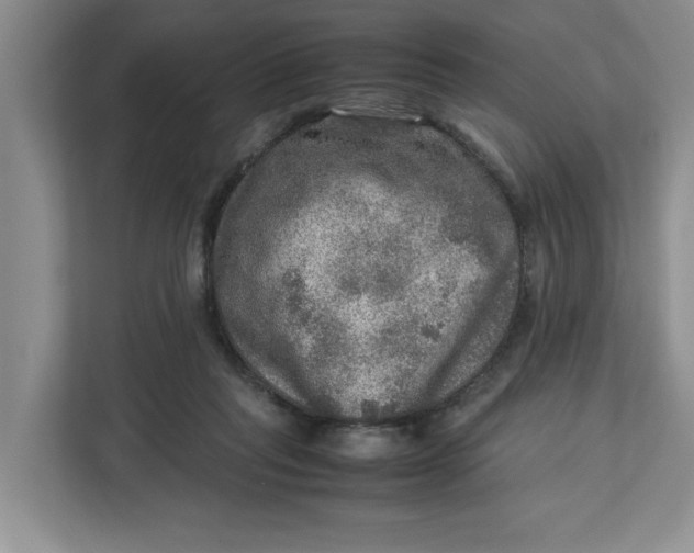 X0000112950261200909141413