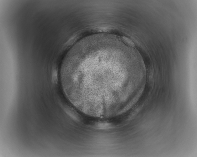 X0000112950262200909141414