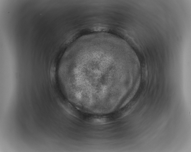 X0000112950263200909141414