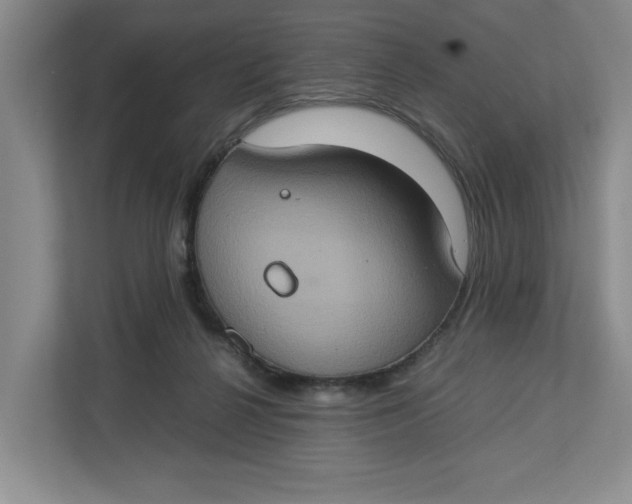 X0000112950264200909141414