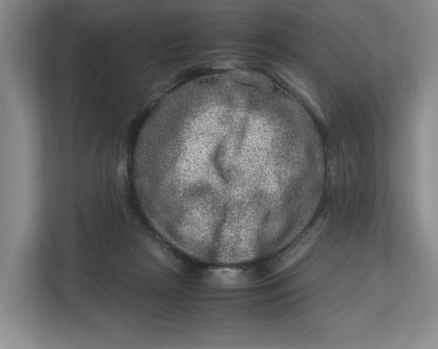 X0000112950265200909141414