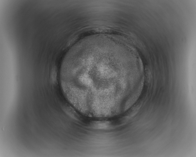 X0000112950266200909141414