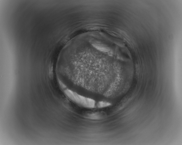 X0000112950267200909141414