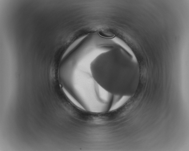 X0000112950268200909141414