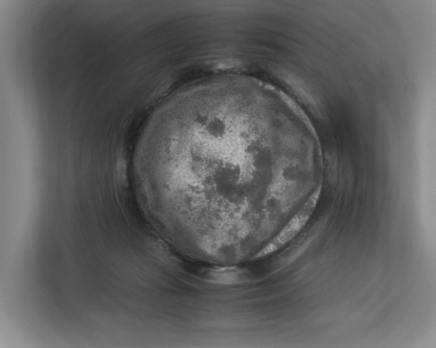 X0000112950269200909141414