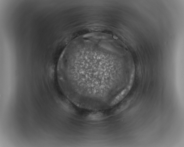 X0000112950271200909141414