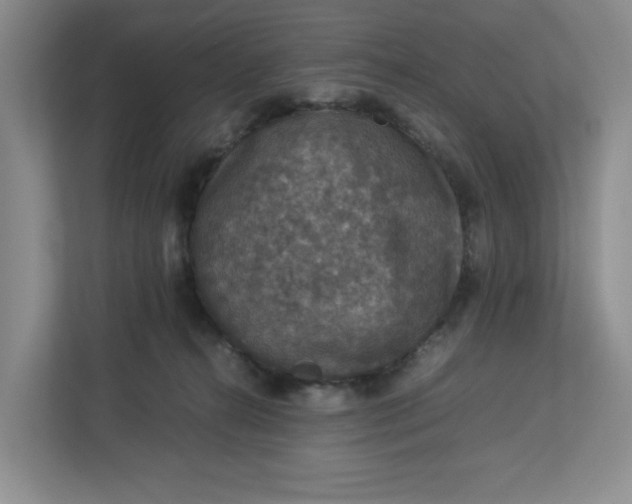 X0000112950272200909141414