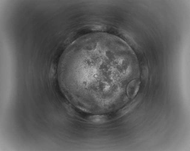 X0000112950273200909141414