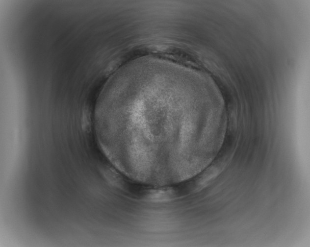 X0000112950274200909141414