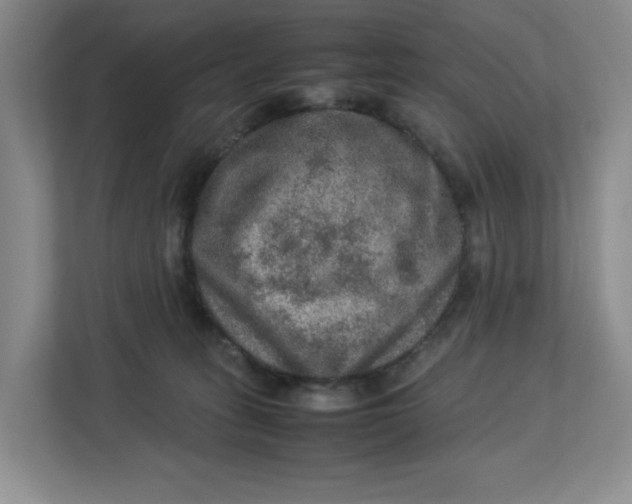 X0000112950275200909141414