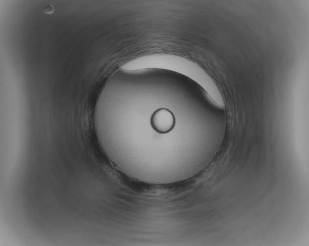 X0000112950276200909141414