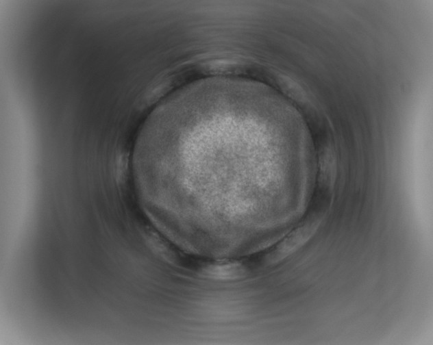 X0000112950278200909141414