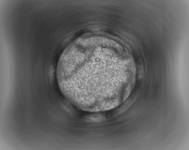 X0000112950279200909141414