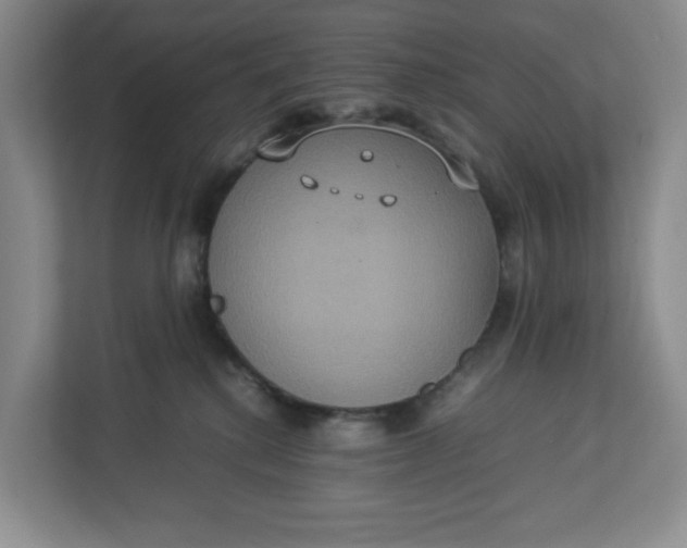 X0000112950280200909141414