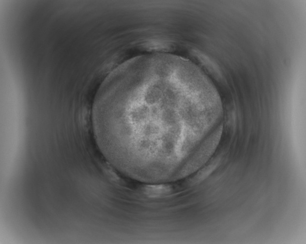 X0000112950281200909141414