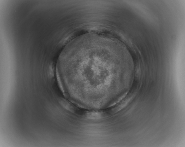 X0000112950282200909141414