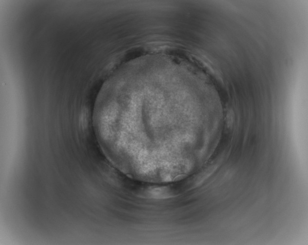 X0000112950283200909141414