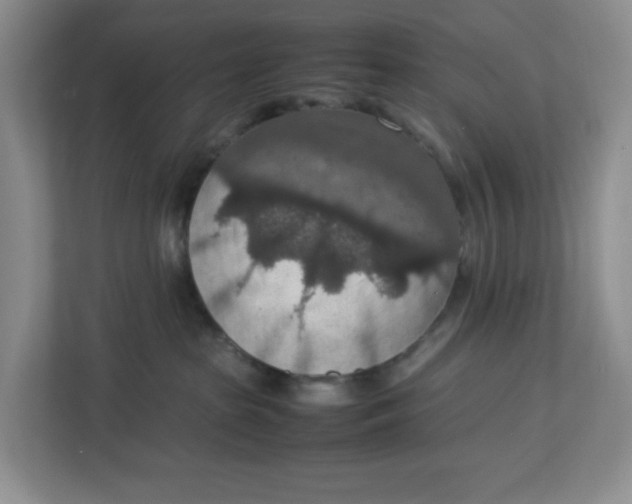 X0000112950285200909141414