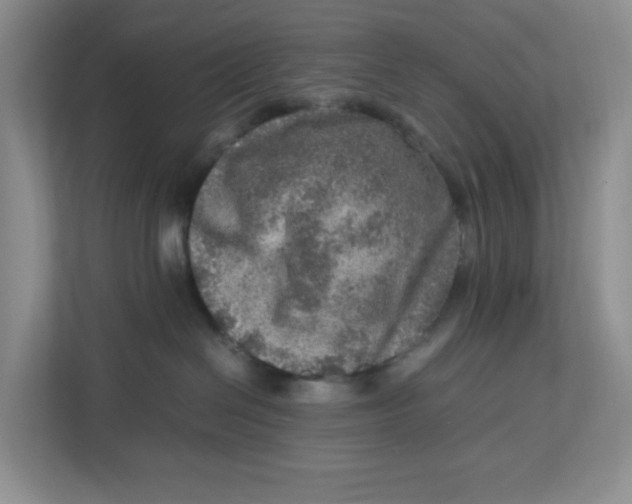 X0000112950286200909141414