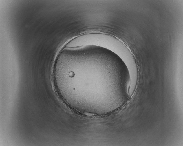 X0000112950289200909141413