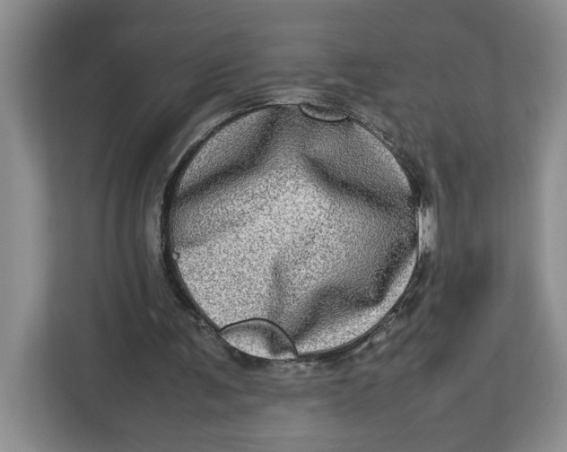 X0000112950291200909141413