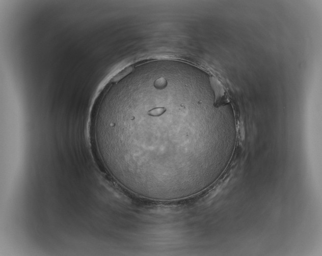 X0000112950292200909141413