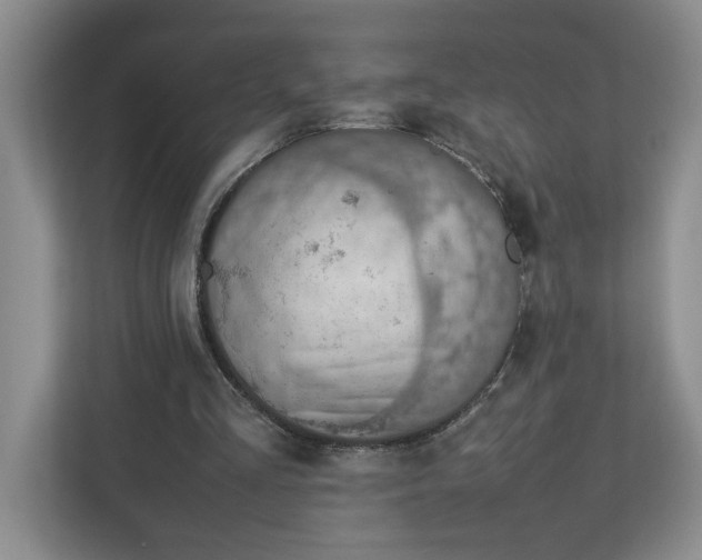 X0000112950293200909141413