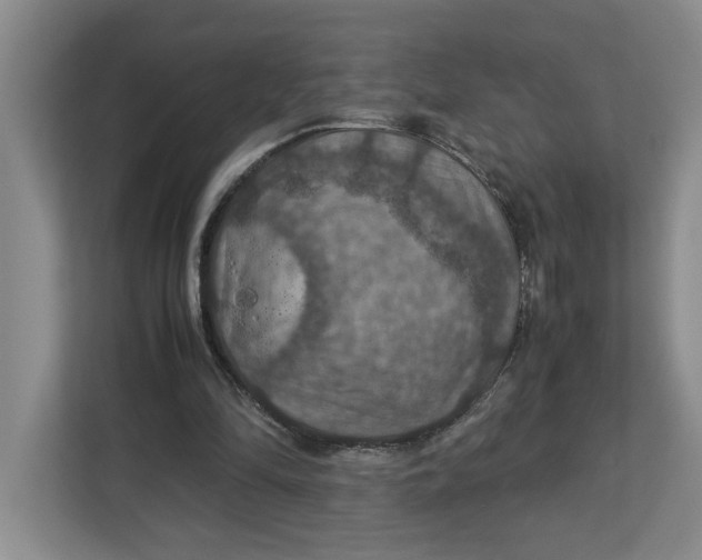 X0000112950294200909141413