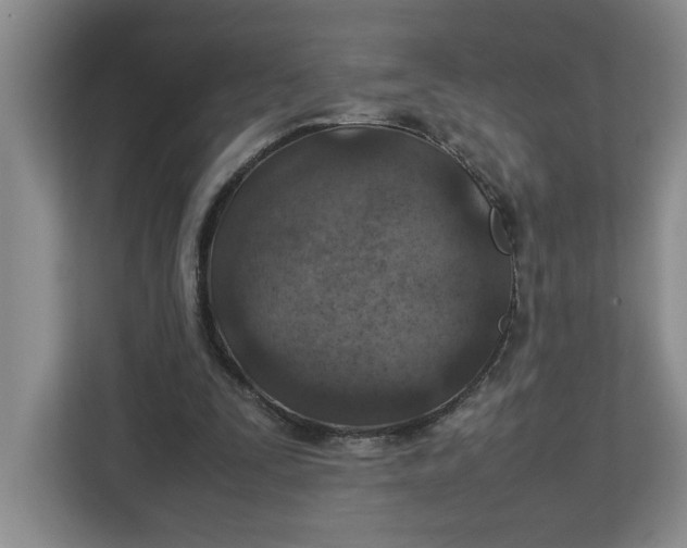 X0000112950295200909141413