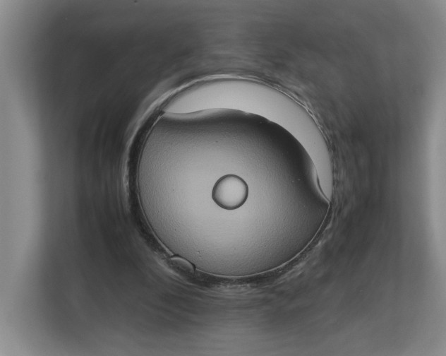 X0000112950296200909141413