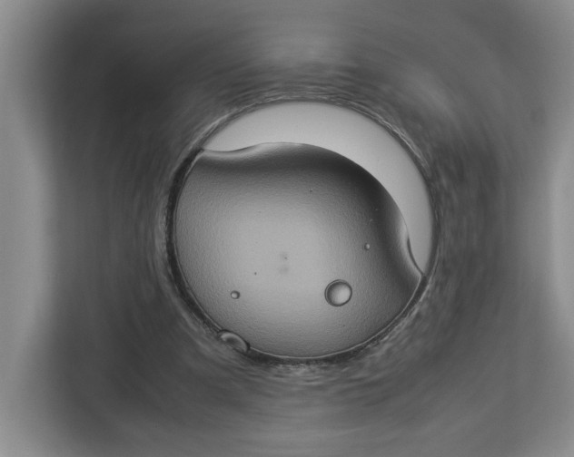 X0000112950297200909141413