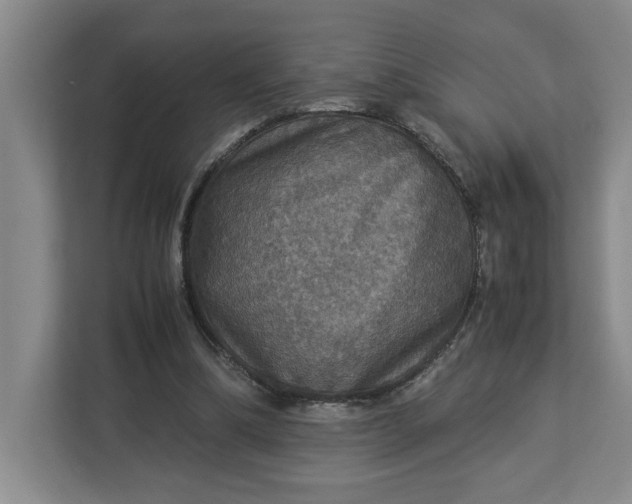 X0000112950298200909141413