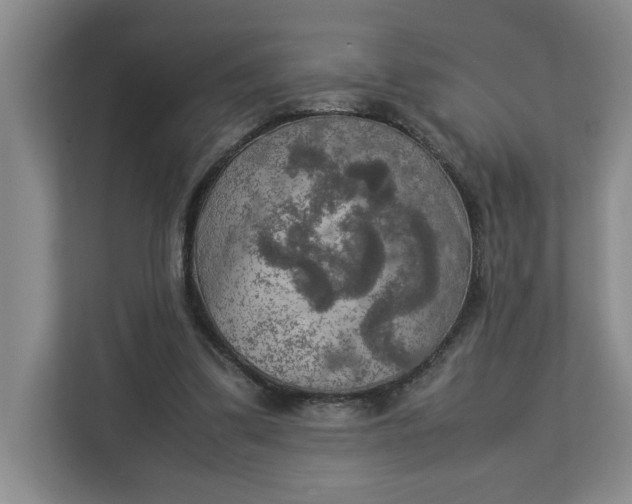 X0000112950299200909141413