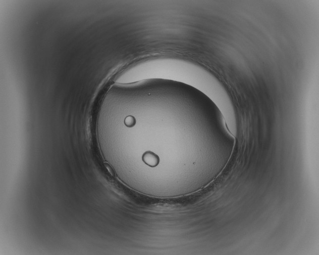 X0000112950300200909141413