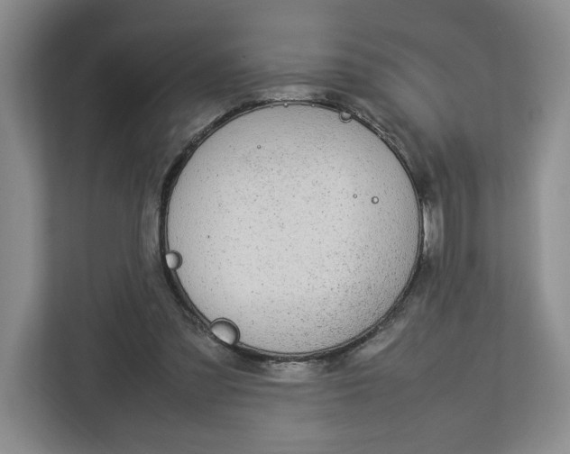 X0000112950301200909141413