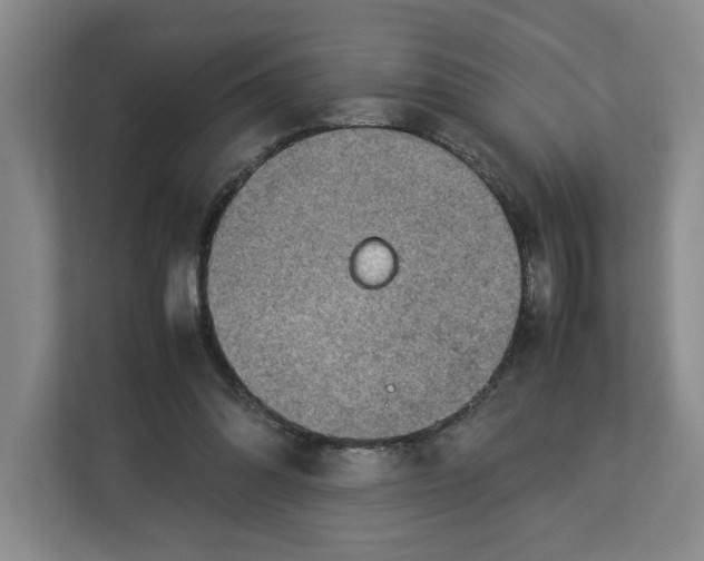 X0000112950302200909141413