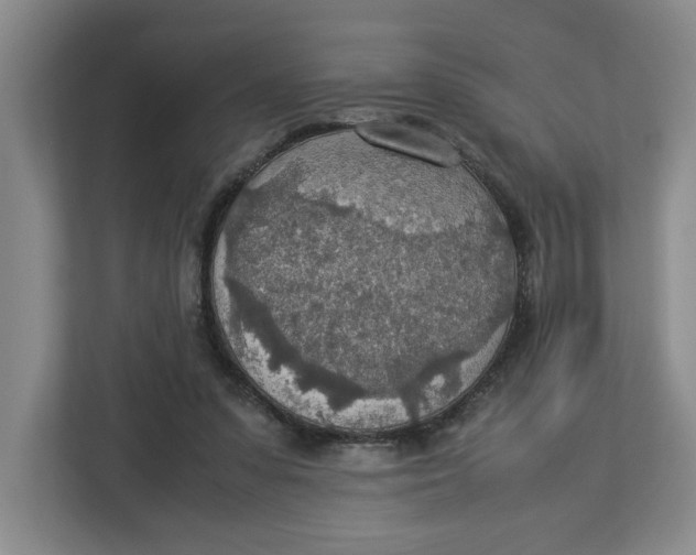 X0000112950303200909141413