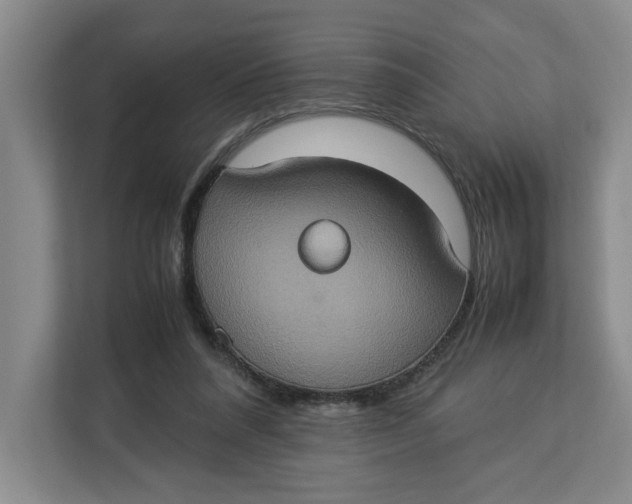 X0000112950304200909141413