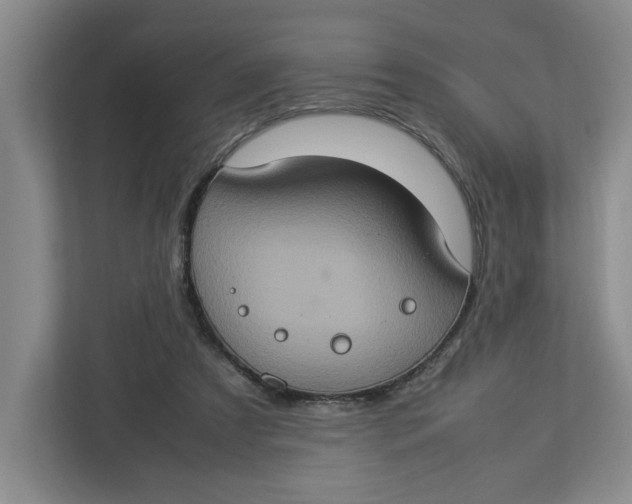 X0000112950305200909141413