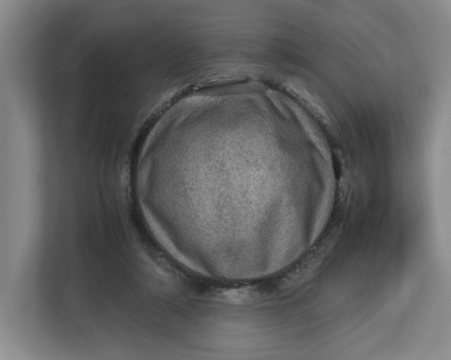 X0000112950306200909141413