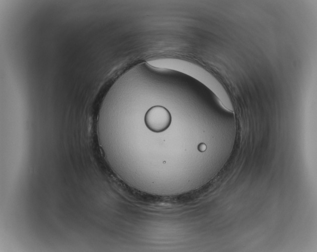 X0000112950308200909141413