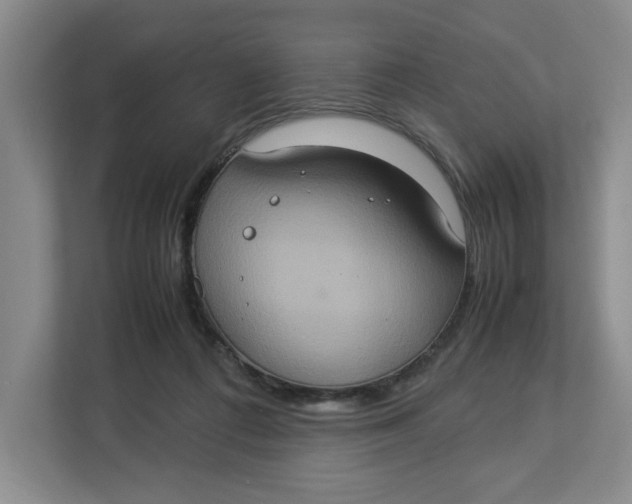 X0000112950312200909141413