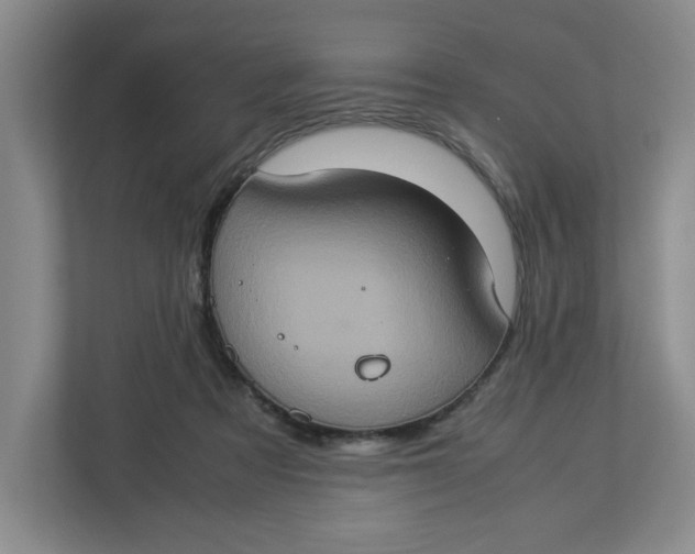 X0000112950313200909141413