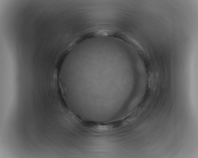 X0000112950314200909141413