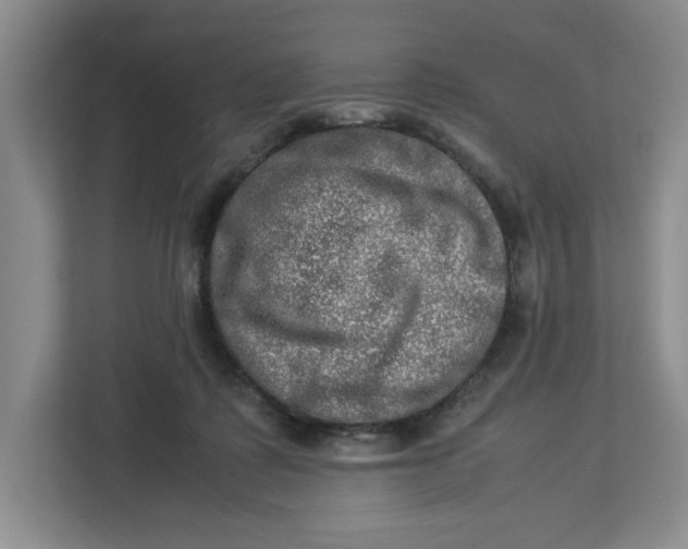 X0000112950315200909141413